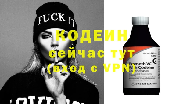 эйфоретик Покачи