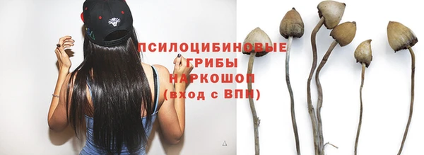 Альфа ПВП Алексеевка