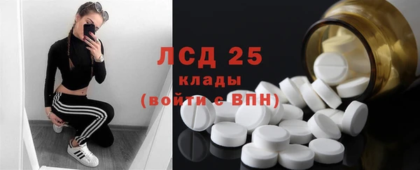 соль ск Алексин